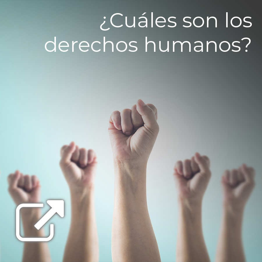 ¿Cuáles son los derechos humanos? UDGVirtual Formación Integral ¿Cuáles son los derechos humanos? UDGVirtual Formación Integral